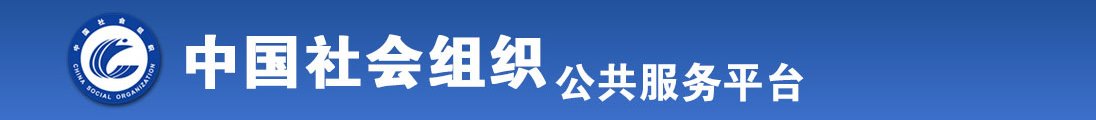 操肥逼p全国社会组织信息查询